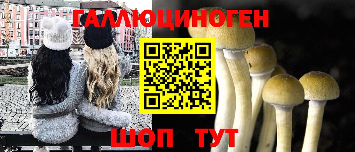 Псилоцибиновые грибы ЛСД Саяногорск